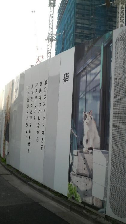 080114kakoi.jpg
